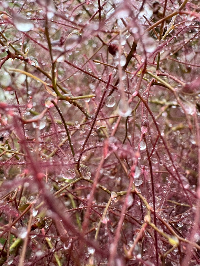 Photography image 27